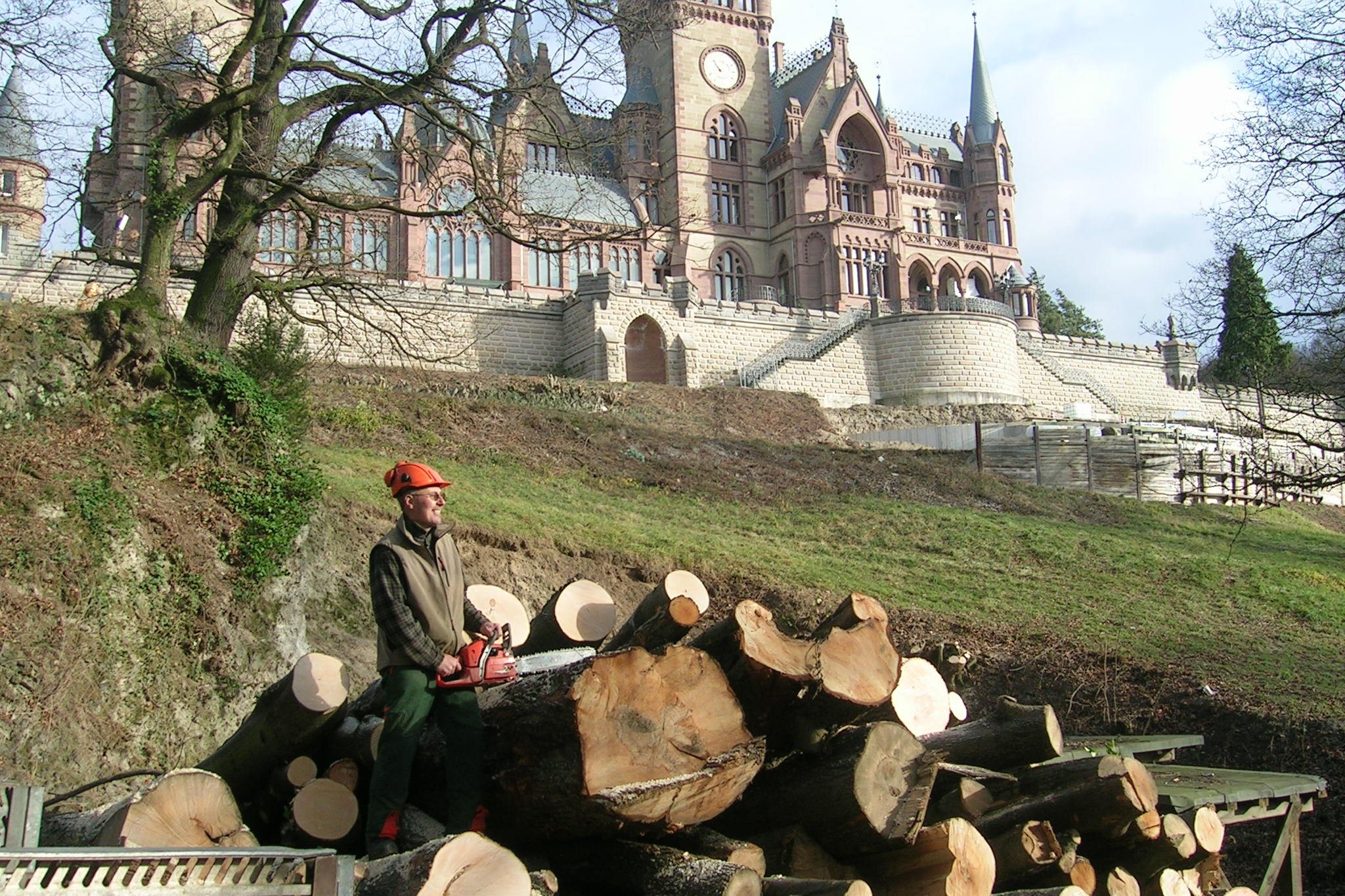 Baumdienst